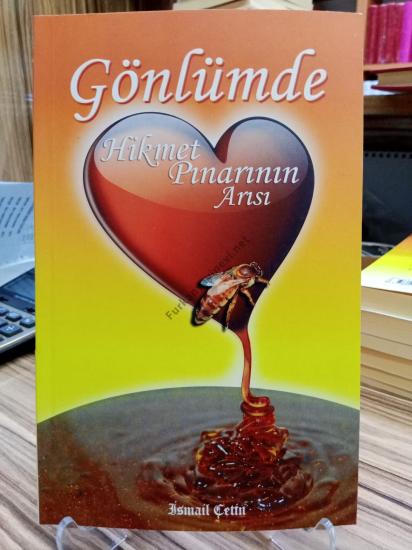 GÖNLÜMDE HİKMET PINARININ ARISI